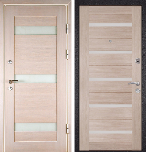 Влагостойкая стальная дверь с молдингом №3