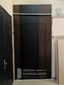 Входная дверь Stardis Expert  с фальшфрамугой